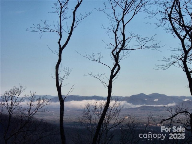 21 Casta Way, Asheville, NC 28803 - photo 5