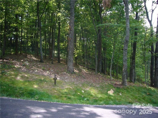 21 Casta Way, Asheville, NC 28803 - photo 8