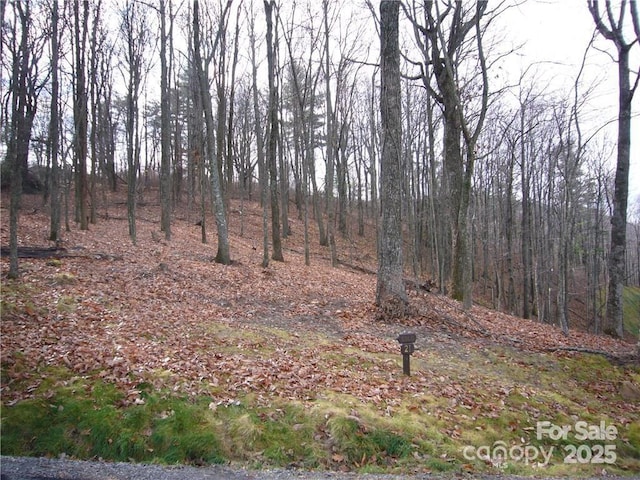 21 Casta Way, Asheville, NC 28803 - photo 9