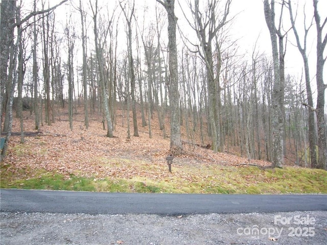 21 Casta Way, Asheville, NC 28803 - photo 10