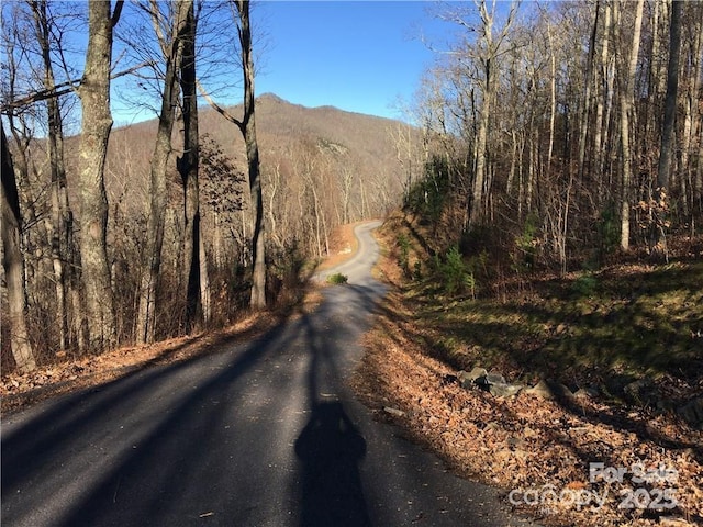 21 Casta Way, Asheville, NC 28803 - photo 13