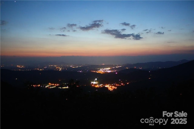 21 Casta Way, Asheville, NC 28803 - photo 18