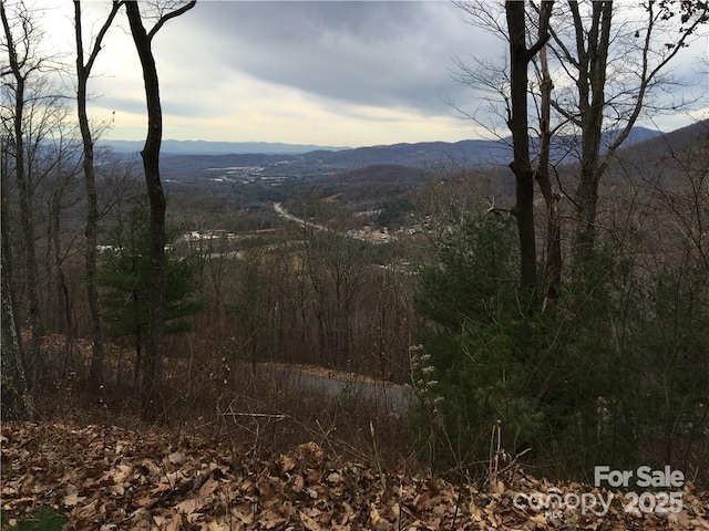 21 Casta Way, Asheville, NC 28803 - photo 20