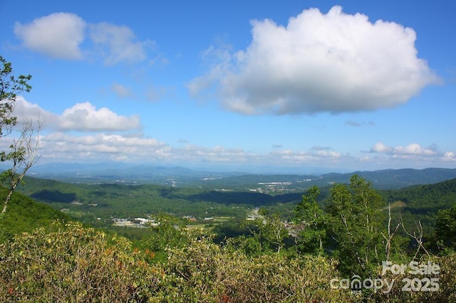 21 Casta Way, Asheville, NC 28803 - photo 21