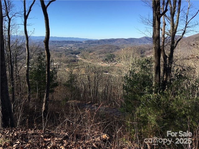 21 Casta Way, Asheville, NC 28803 - photo 22