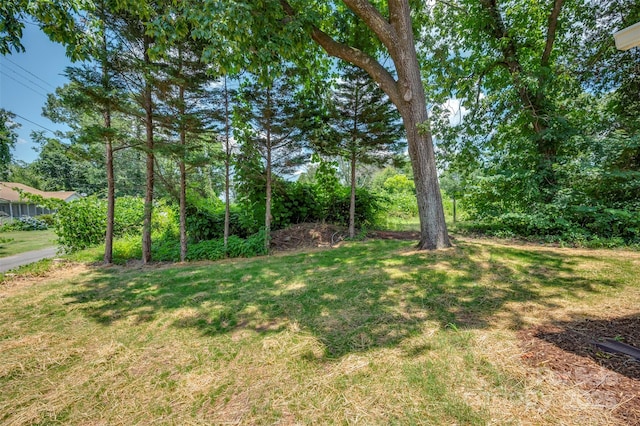 126 Campbell St, Spindale, NC 28160 - photo 31