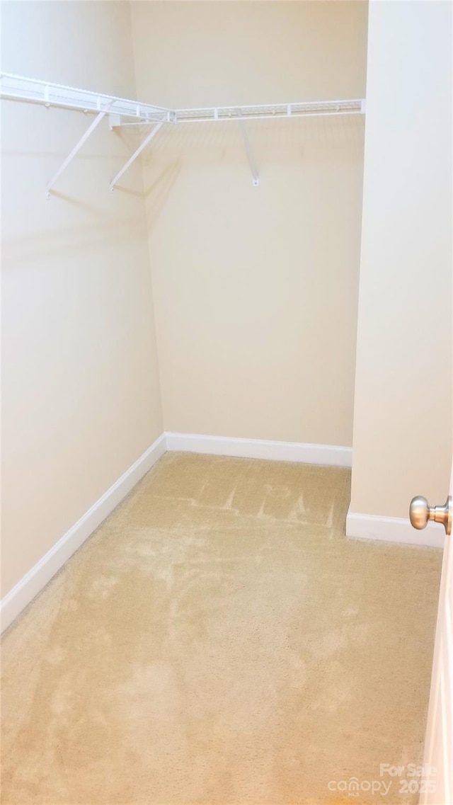 13926 Cypress Woods Dr, Huntersville, NC 28078 - photo 24