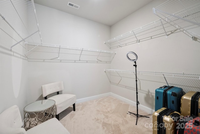 10437 Paper Birch Dr, Charlotte, NC 28215 - spacious closet featuring carpet floors