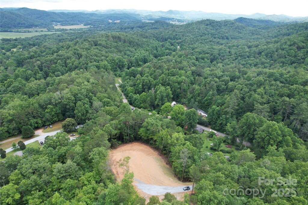 99999 Pete Mann Rd, Brevard, NC 28712 - photo 1
