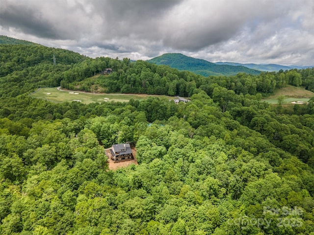 55 Steeplebush Ct Unit 629, Tuckasegee, NC 28783 - view of mountain backdrop with a forest