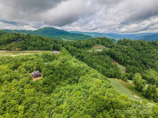 55 Steeplebush Ct Unit 629, Tuckasegee, NC 28783 - drone / aerial view of mountains