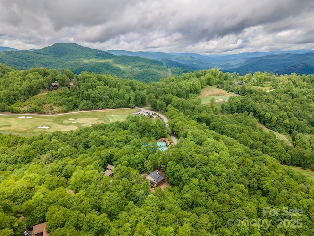 55 Steeplebush Ct Unit 629, Tuckasegee, NC 28783 - aerial view of a forest and a mountain backdrop