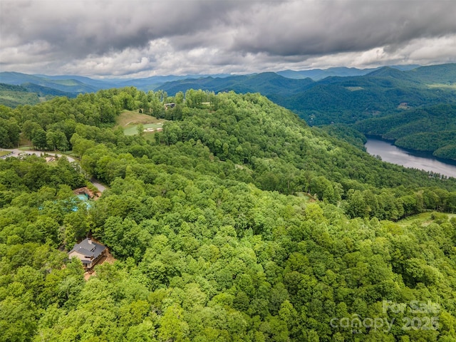 55 Steeplebush Ct Unit 629, Tuckasegee, NC 28783 - drone / aerial view of a forest and a nearby body of water
