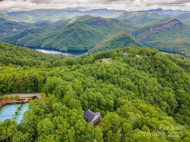 55 Steeplebush Ct Unit 629, Tuckasegee, NC 28783 - aerial view of a forest and a water and mountain view