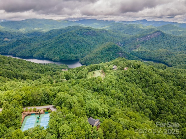 55 Steeplebush Ct Unit 629, Tuckasegee, NC 28783 - view of mountain background featuring a heavily wooded area and a nearby body of water