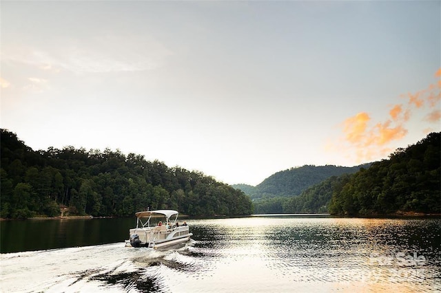 55 Steeplebush Ct Unit 629, Tuckasegee, NC 28783 - water view featuring a heavily wooded area