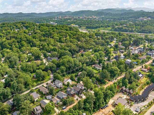 156 Joyner Ave, Asheville, NC 28806 - photo 33