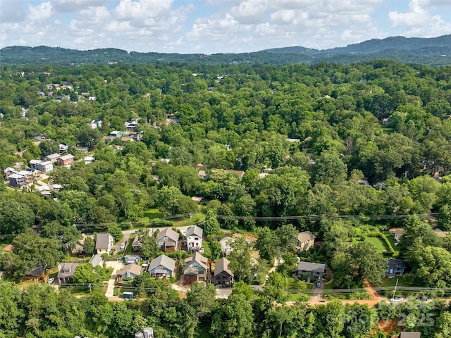 156 Joyner Ave, Asheville, NC 28806 - photo 35