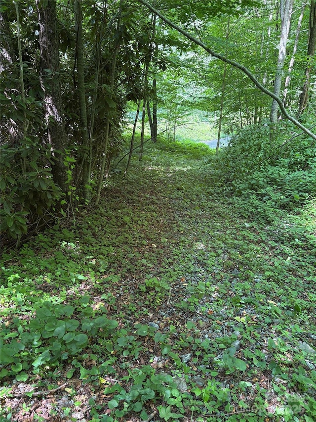 108 Green Cove Dr, Maggie Valley, NC 28751