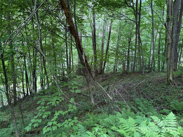 108 Green Cove Dr, Maggie Valley, NC 28751