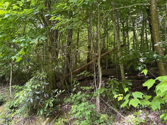 108 Green Cove Dr, Maggie Valley, NC 28751