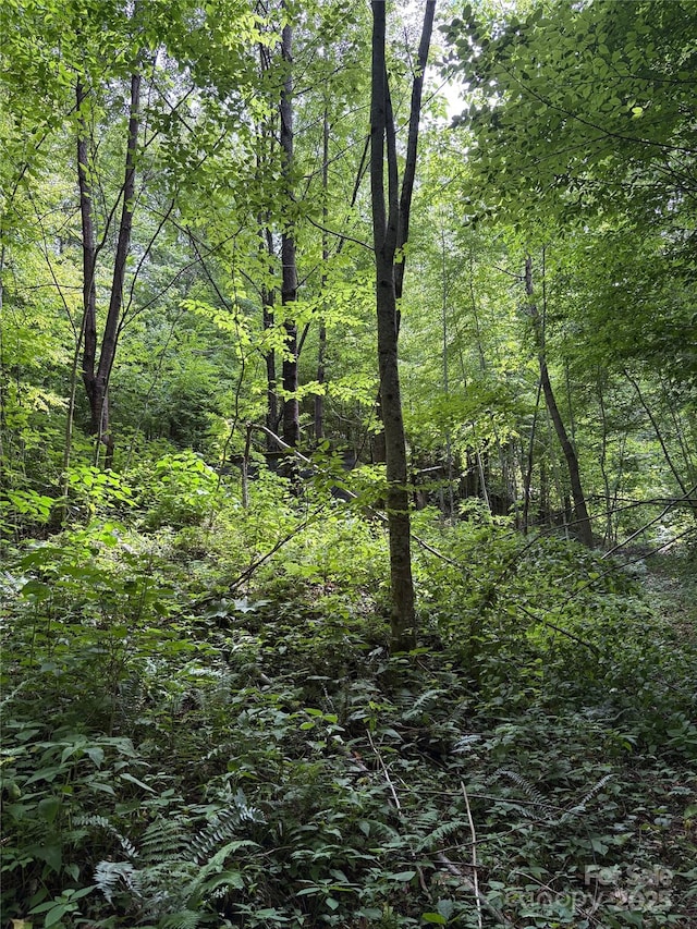 108 Green Cove Dr, Maggie Valley, NC 28751