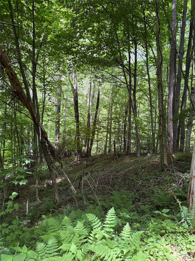 108 Green Cove Dr, Maggie Valley, NC 28751