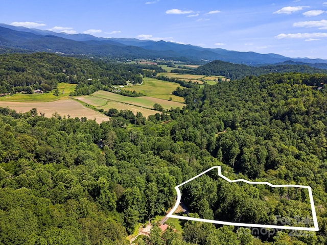 14 Long Branch Rd Unit 14, Pisgah Forest, NC 28768 - photo 1