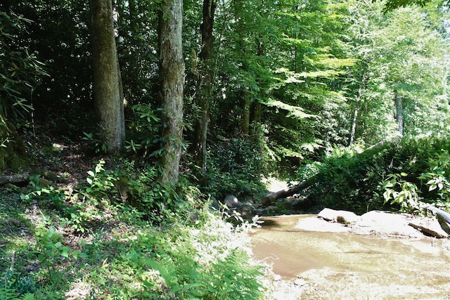 14 Long Branch Rd Unit 14, Pisgah Forest, NC 28768 - photo 2