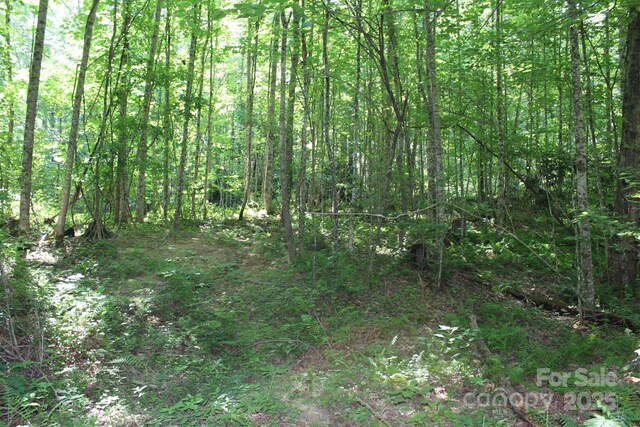 14 Long Branch Rd Unit 14, Pisgah Forest, NC 28768 - photo 12