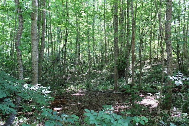 14 Long Branch Rd Unit 14, Pisgah Forest, NC 28768 - photo 13