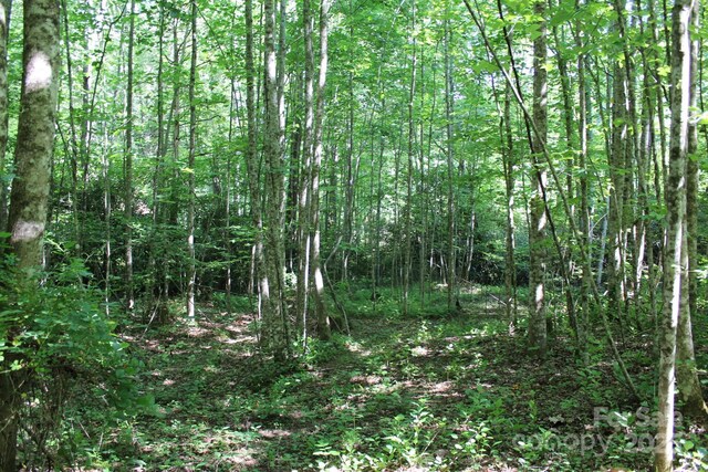 14 Long Branch Rd Unit 14, Pisgah Forest, NC 28768 - photo 14