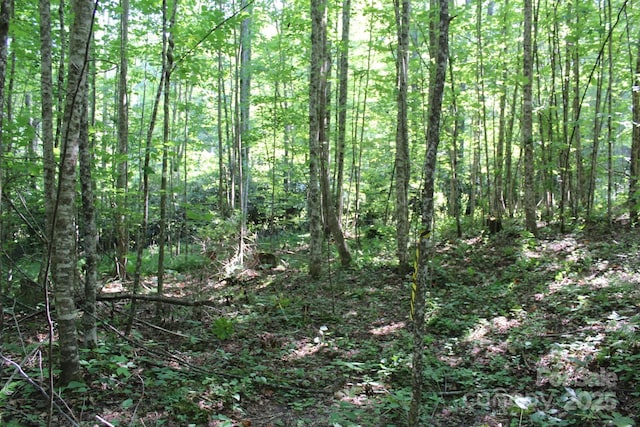 14 Long Branch Rd Unit 14, Pisgah Forest, NC 28768 - photo 15