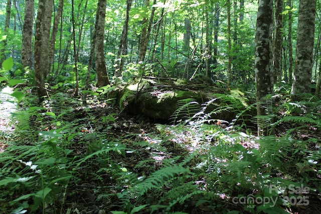 14 Long Branch Rd Unit 14, Pisgah Forest, NC 28768 - photo 16