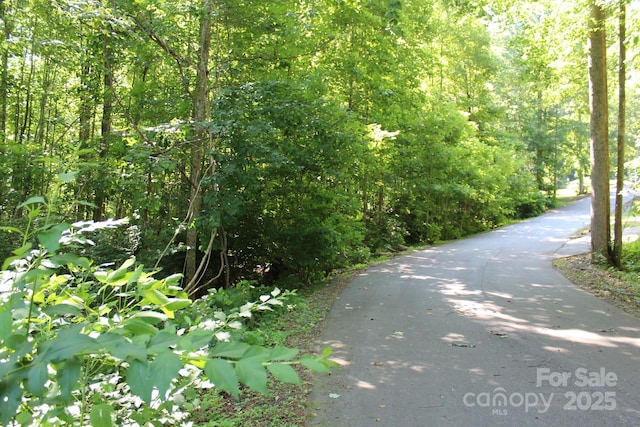 14 Long Branch Rd Unit 14, Pisgah Forest, NC 28768 - photo 18