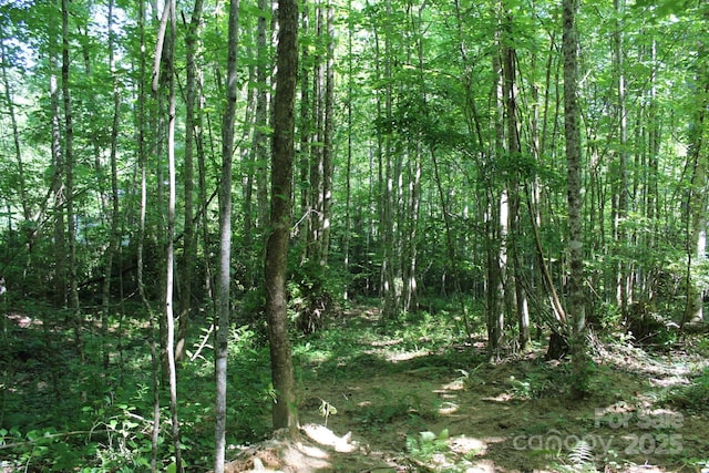 14 Long Branch Rd Unit 14, Pisgah Forest, NC 28768 - photo 21