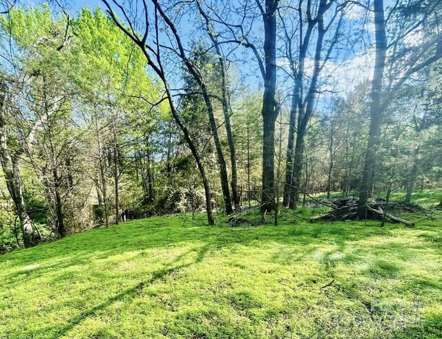 426 Ratchford Rd, York, SC 29745 - photo 8