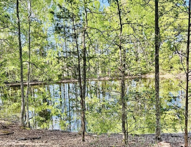 426 Ratchford Rd, York, SC 29745 - photo 12