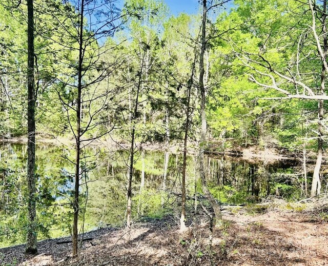 426 Ratchford Rd, York, SC 29745 - photo 13