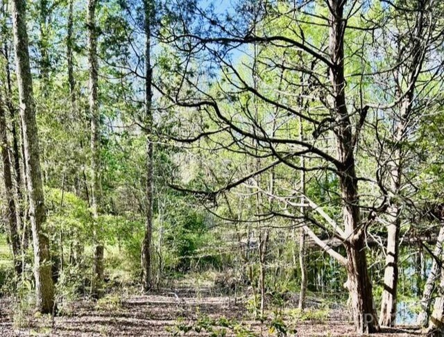 426 Ratchford Rd, York, SC 29745 - photo 17