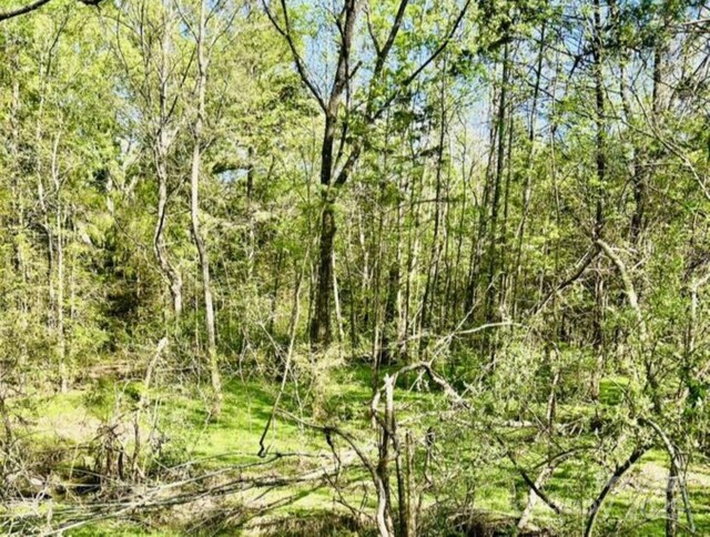 426 Ratchford Rd, York, SC 29745 - photo 21