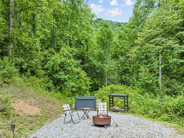 322 Mckinzie Pl, Waynesville, NC 28785 - photo 11
