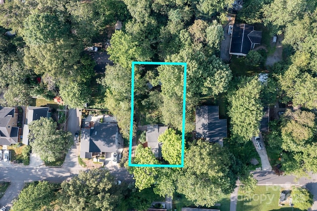 54 Downing St, Asheville, NC 28806 - photo 3