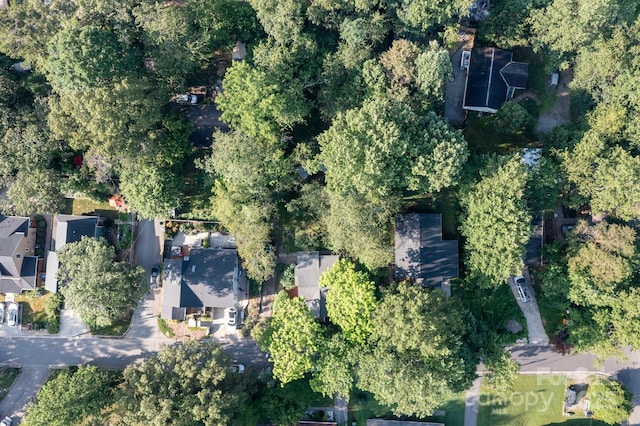 54 Downing St, Asheville, NC 28806 - photo 26