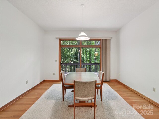 105 Sunningdale Dr, Flat Rock, NC 28731 - photo 12