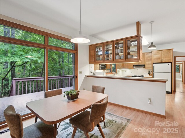 105 Sunningdale Dr, Flat Rock, NC 28731 - photo 20
