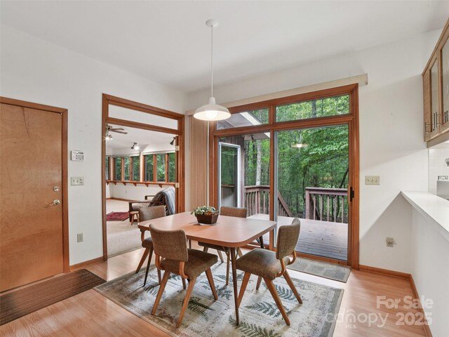 105 Sunningdale Dr, Flat Rock, NC 28731 - photo 21