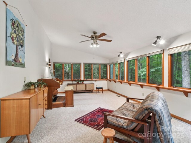 105 Sunningdale Dr, Flat Rock, NC 28731 - photo 22