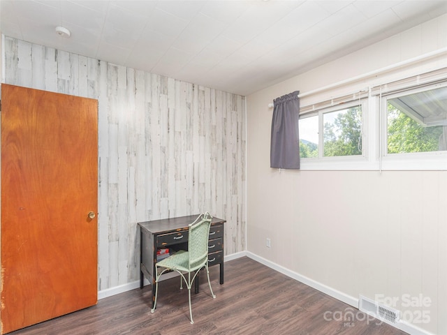90 Hemlock Hill Hts, Canton, NC 28716 - home office featuring wood walls and wood finished floors