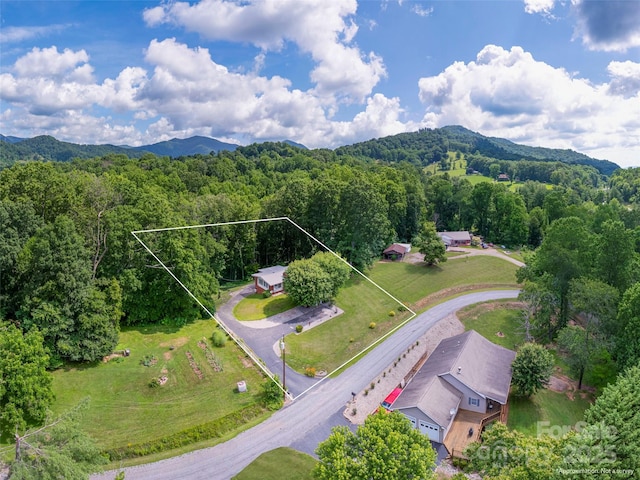 90 Hemlock Hill Hts, Canton, NC 28716 - aerial view of property's location with a forest and property boundaries highlighted